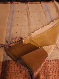 Kanchipuram Pure Cotton x Copper zari saree - Latte