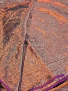 Shimmery Tissue Saree x Lace Border : Copper x Black