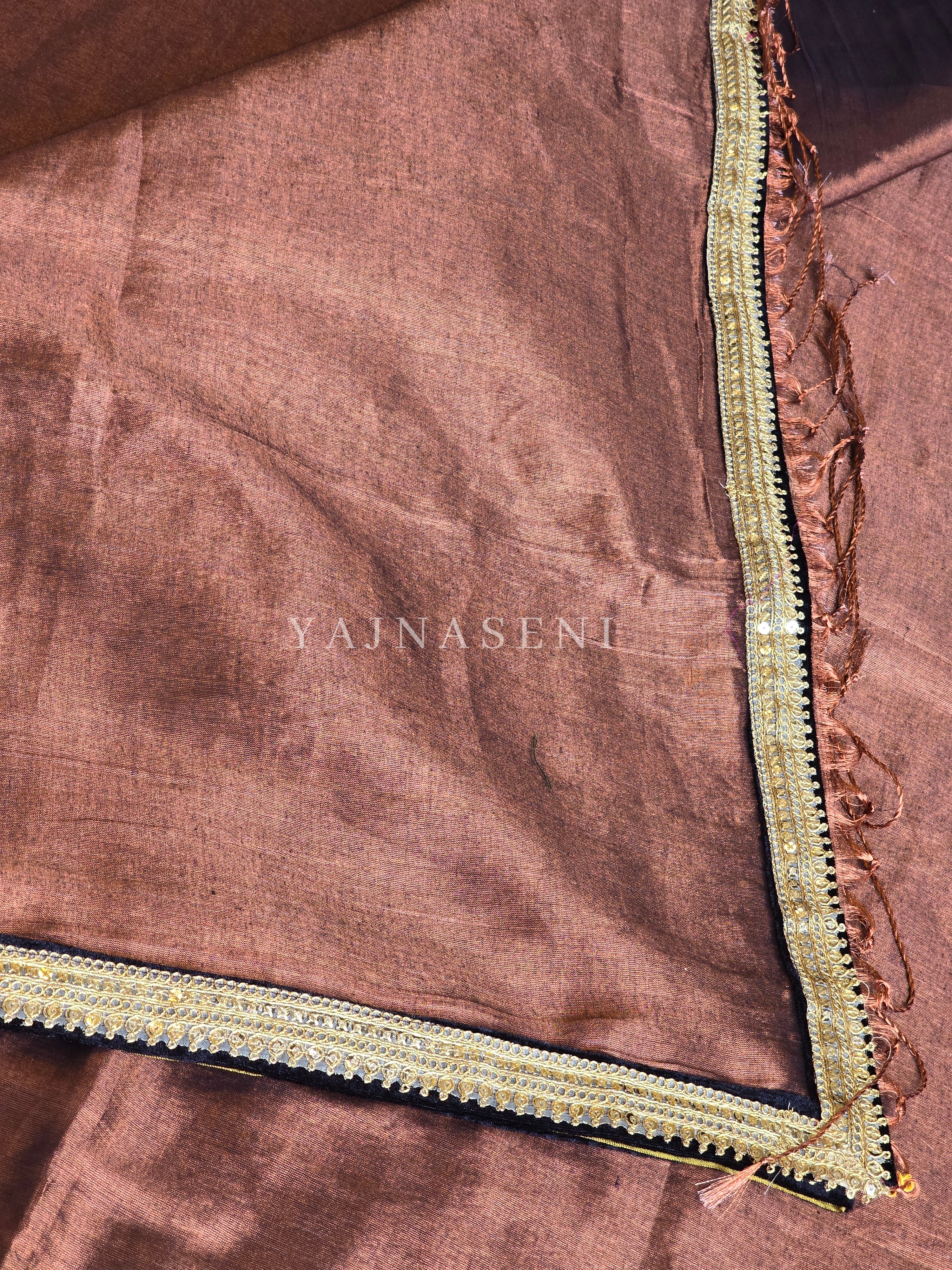Shimmery Tissue Saree x Lace Border : Copper x Black