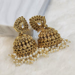 Load image into Gallery viewer, DAKSHA jhumkas
