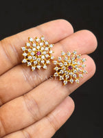 Load image into Gallery viewer, BRISHTI studs (Rani)
