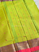 Load image into Gallery viewer, Kanchi Cotton Saree x Tall Border : Lime x Coral Pink
