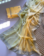 Load image into Gallery viewer, Ombre Satina Space Silk Saree x Embroidery - Yellow x Lime Green
