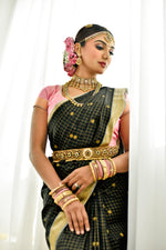 Load image into Gallery viewer, APSARA
