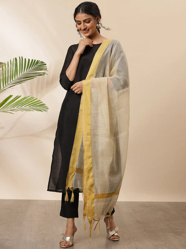 RENU [L / 40] - Straight cut kurta set
