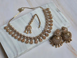 Load image into Gallery viewer, NIHARIKA (Champagne)

